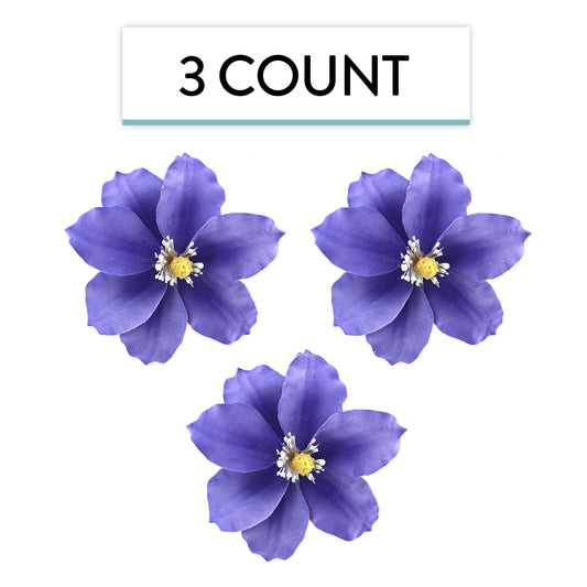 Purple Clematis, 3 Count