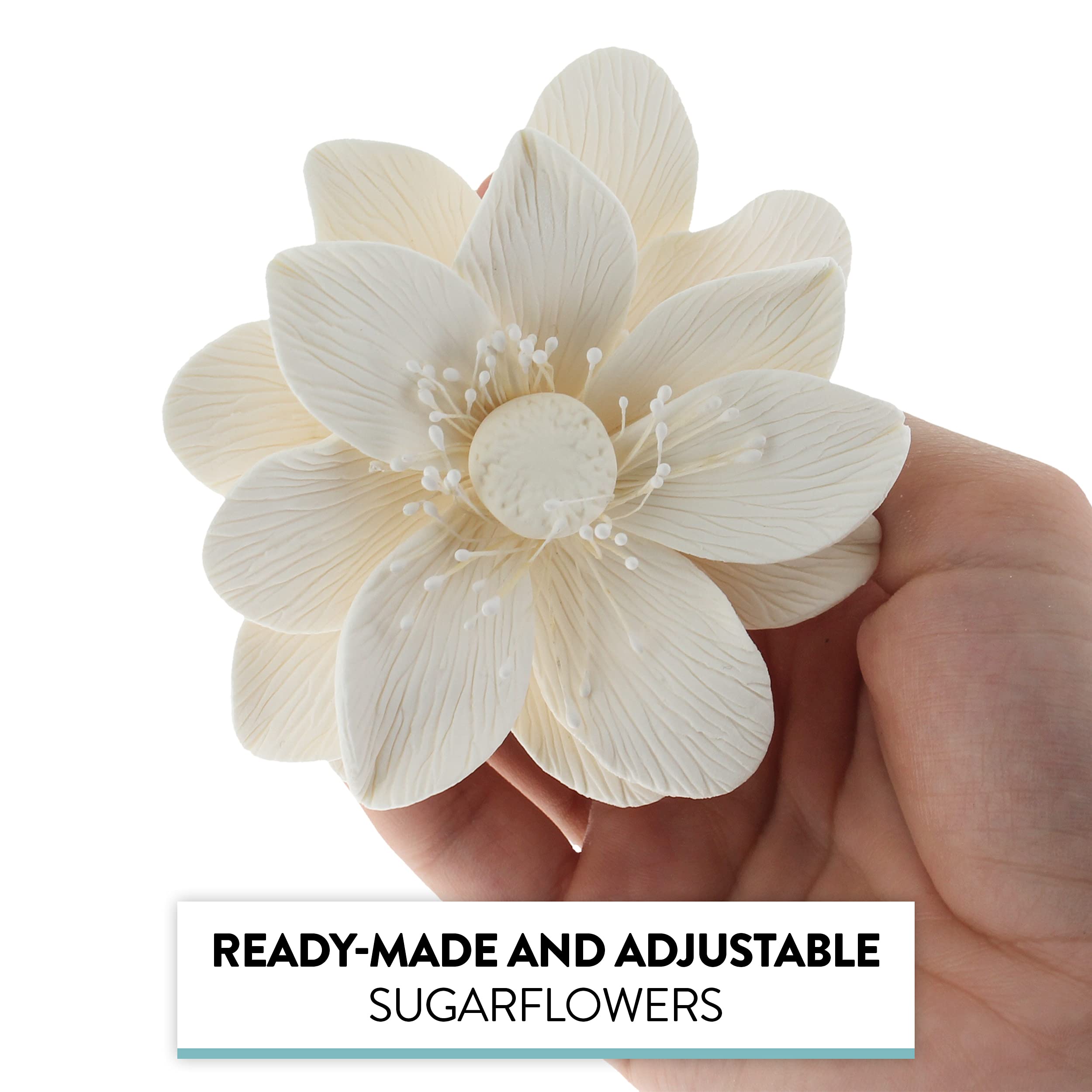 Global Sugar Art Sugar All White Anemone by Chef Alan Tetreault, 3 Count