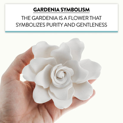 White Gardenia, Jumbo Bloom
