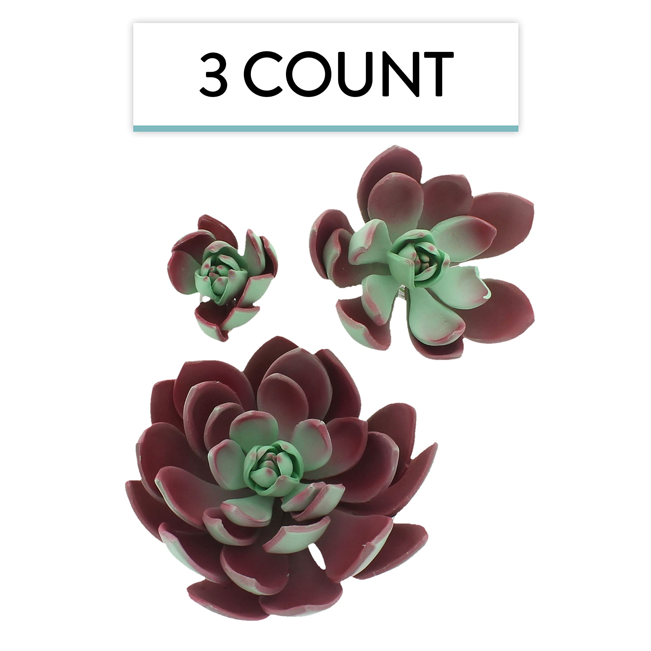 Global Sugar Art Succulent Romeo Sugar Cake Flowers Assortment with Wire, 3 Count by Chef Alan Tetreault