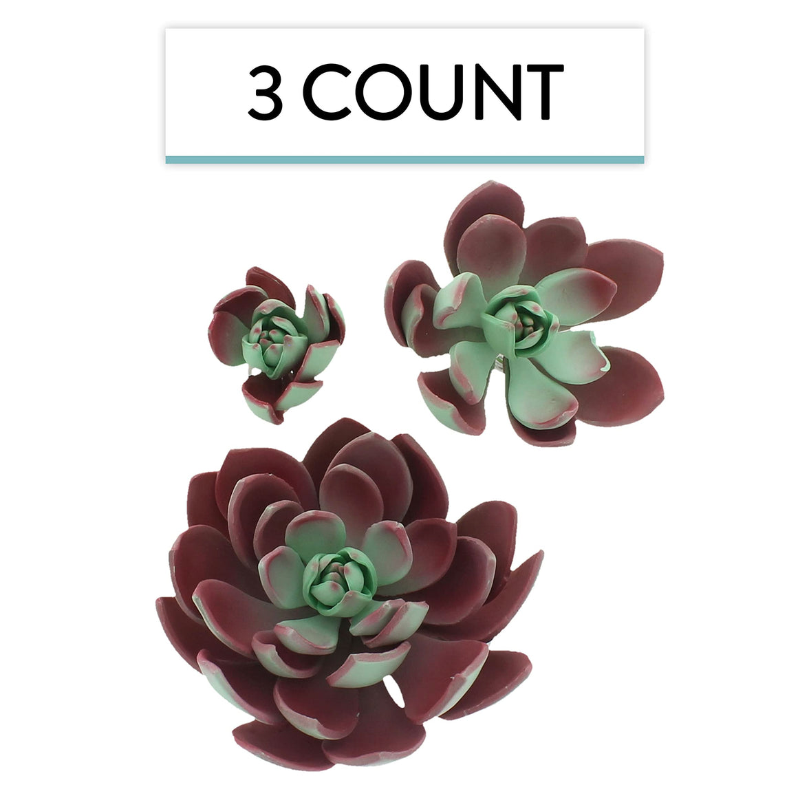 Global Sugar Art Succulent Romeo Sugar Cake Flowers Assortment with Wire, 3 Count by Chef Alan Tetreault