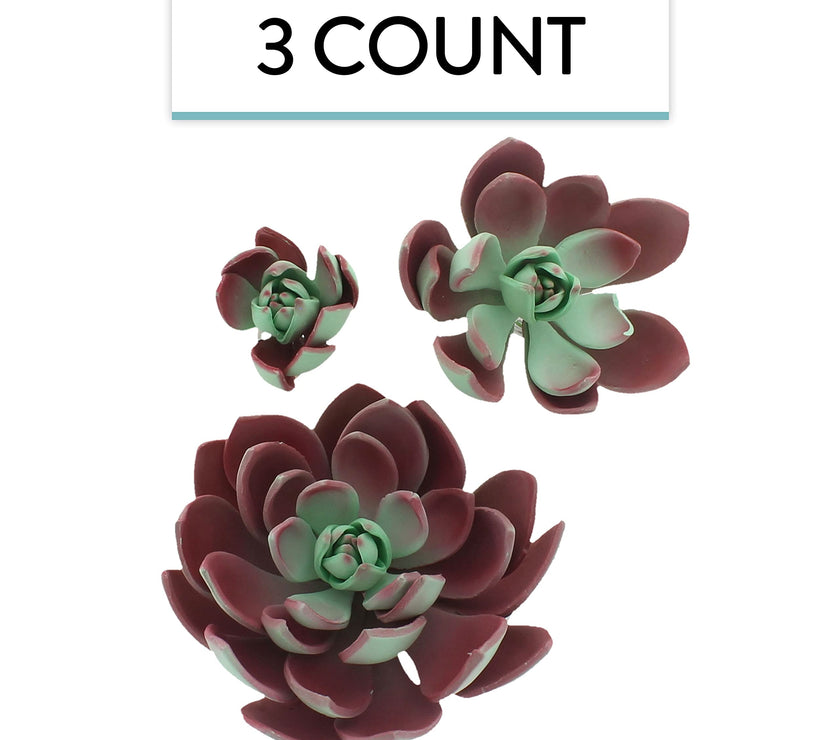 Global Sugar Art Succulent Romeo Sugar Cake Flowers Assortment with Wire, 3 Count by Chef Alan Tetreault