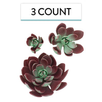 Global Sugar Art Succulent Romeo Sugar Cake Flowers Assortment with Wire, 3 Count by Chef Alan Tetreault