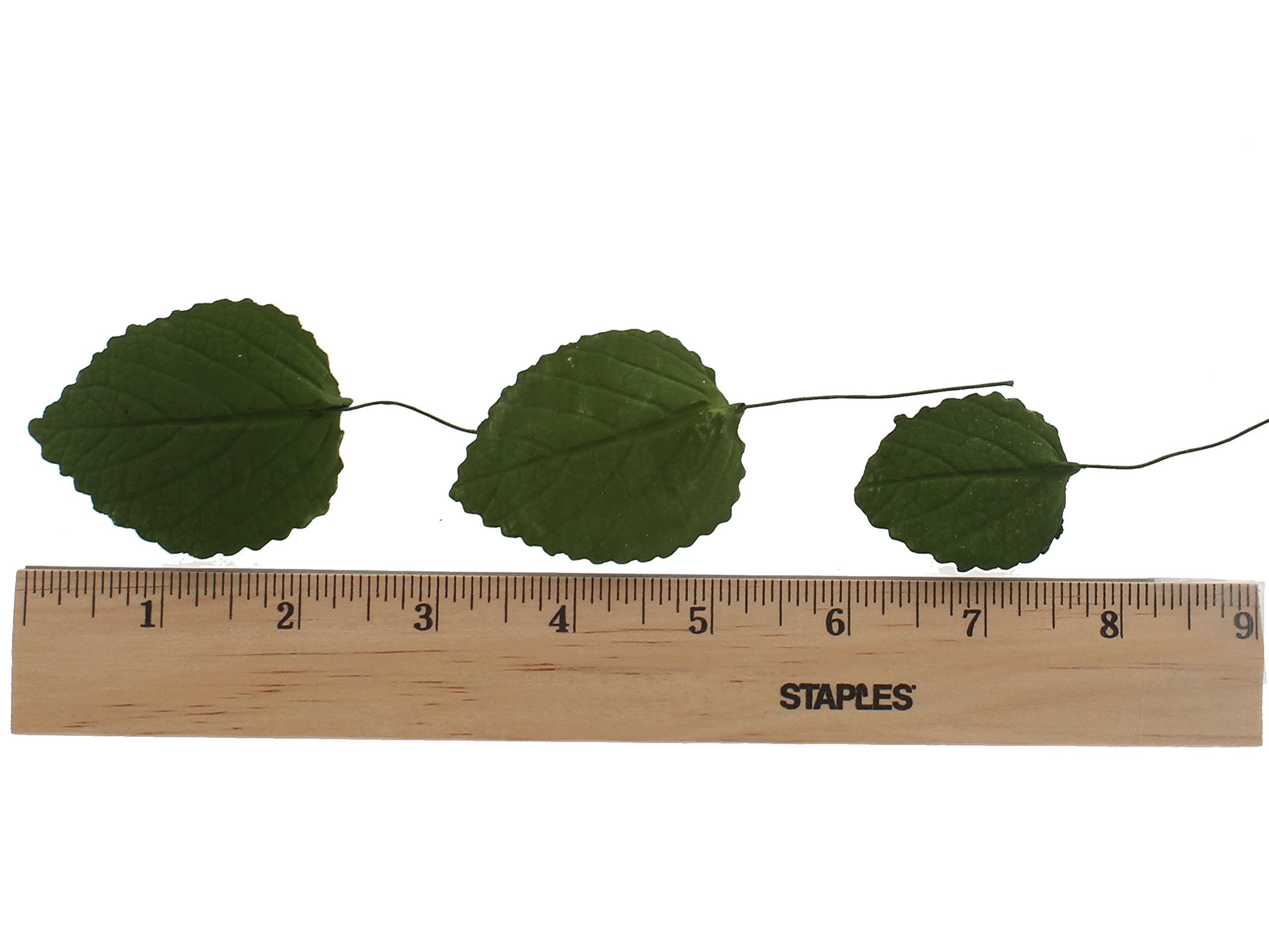 Hydrangea Leaves, Gum Paste Cake Decorations by Global Sugar Art, Green, Multiple Sizes