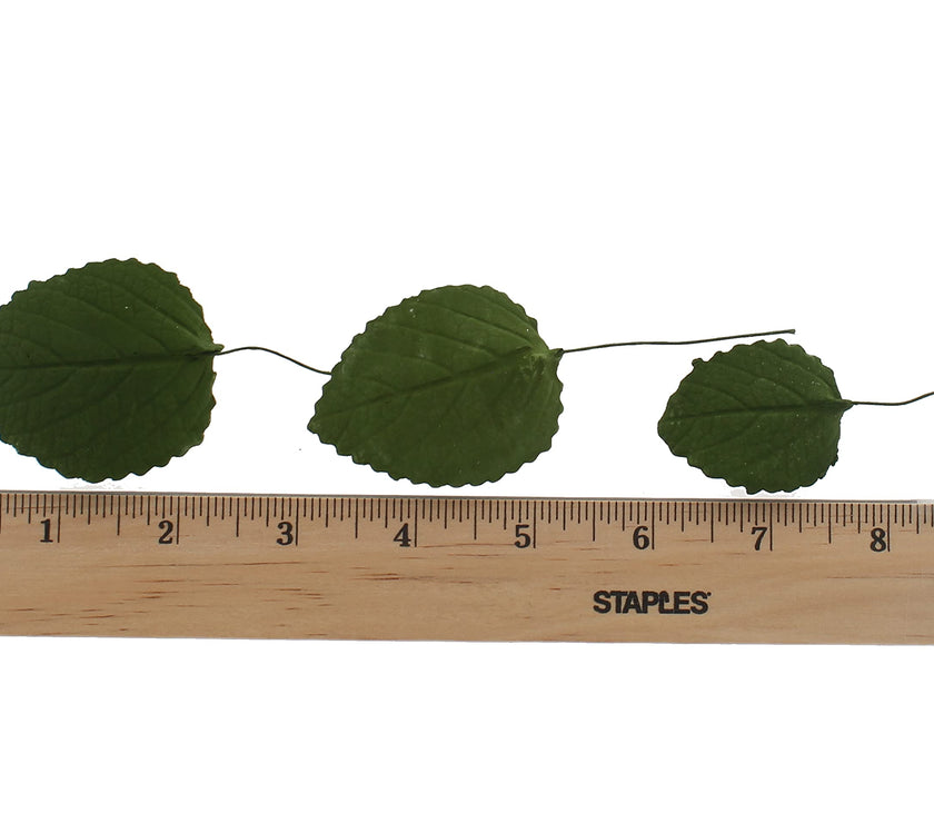 Hydrangea Leaves, Gum Paste Cake Decorations by Global Sugar Art, Green, Multiple Sizes