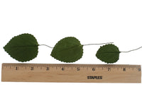 Hydrangea Leaves, Gum Paste Cake Decorations by Global Sugar Art, Green, Multiple Sizes