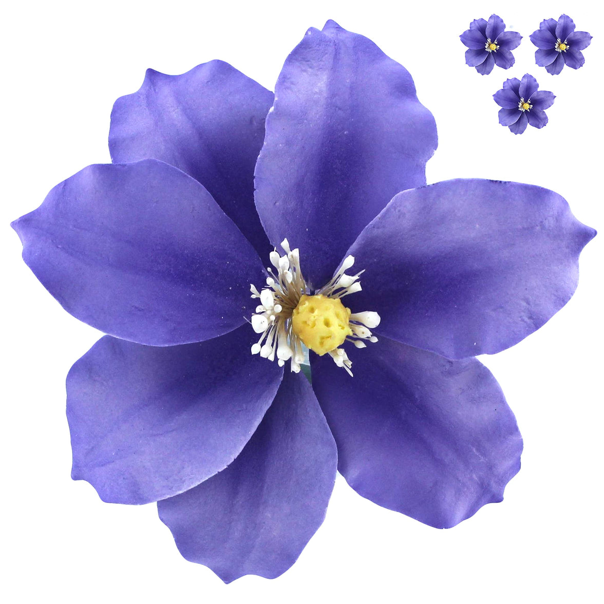 Clematis Gum Paste Sugar Cake Flowers by Global Sugar Art, Purple, 9 Count