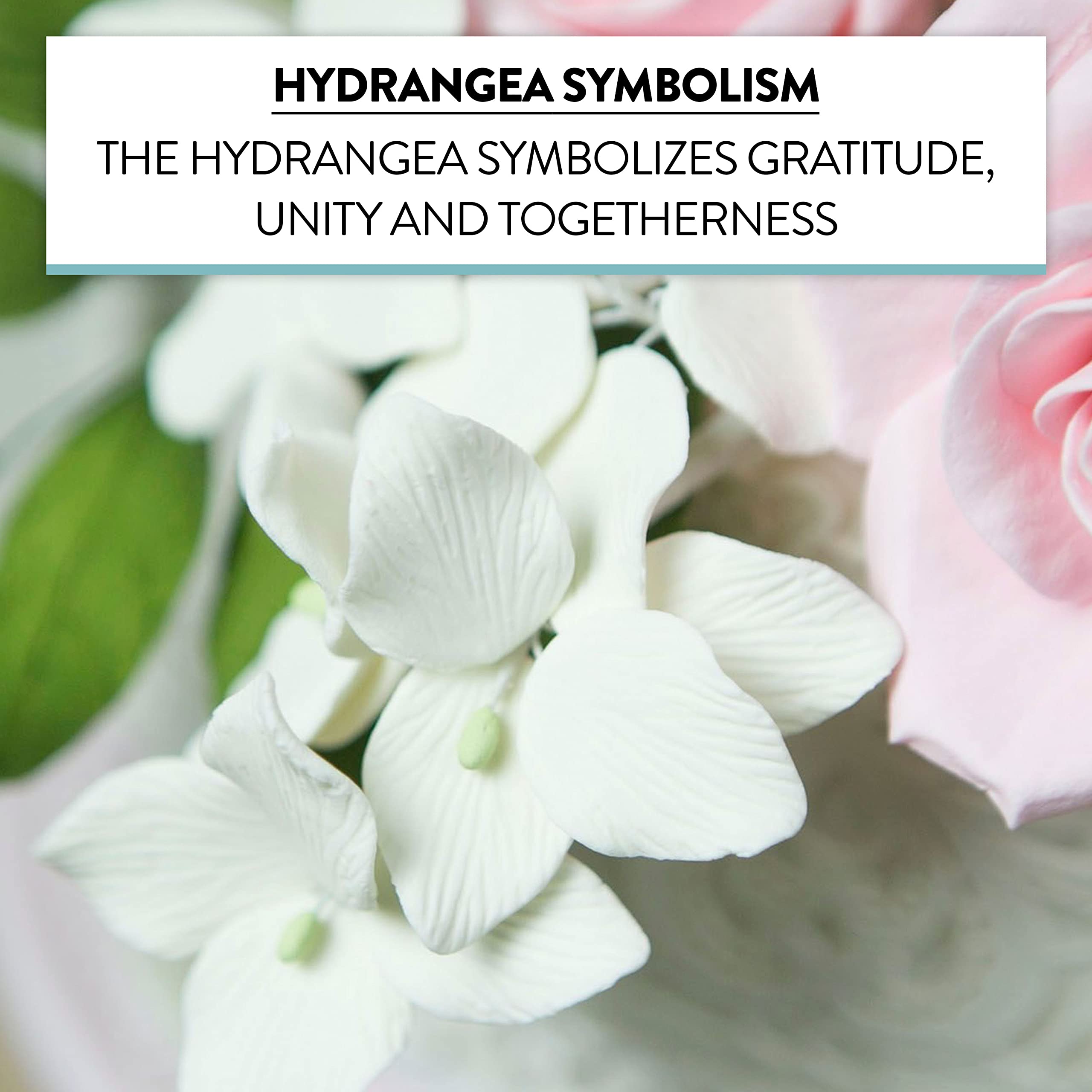 Hydrangea Blossoms, Flat Sugar Flowers by Global Sugar Art, 24 Count White