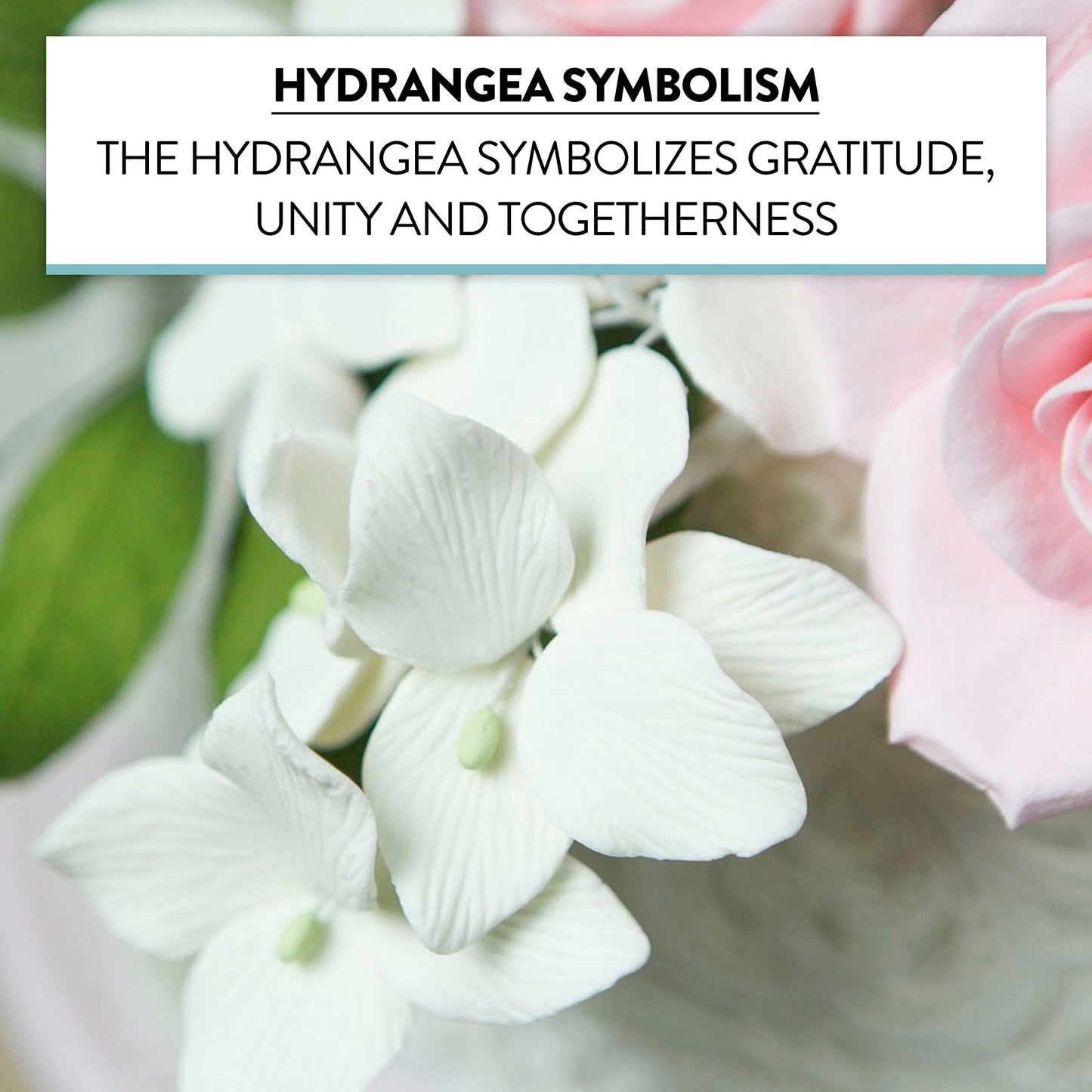 White Hydrangea Flowers, Medium (1.5-inch), 24 Count