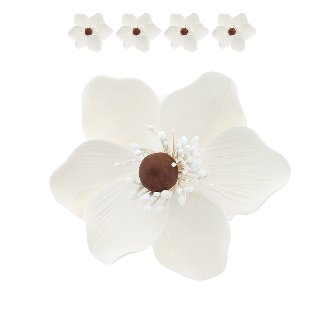 Global Sugar Art Sugar White and Brown Anemone by Chef Alan Tetreault, 4 Count