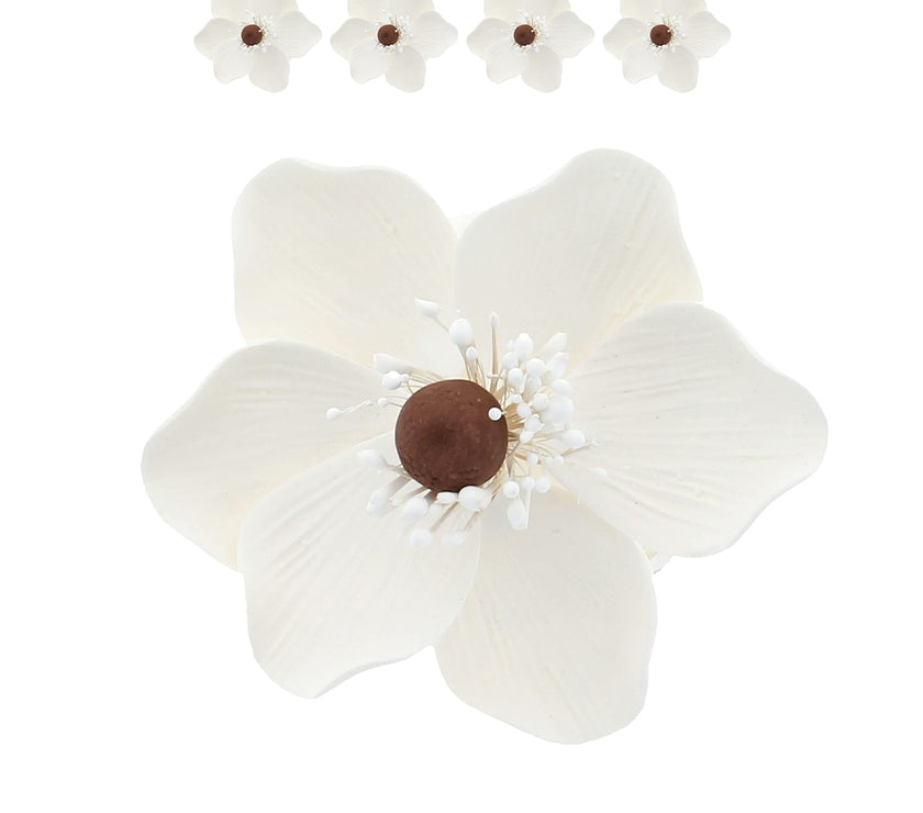 Global Sugar Art Sugar White and Brown Anemone by Chef Alan Tetreault, 4 Count