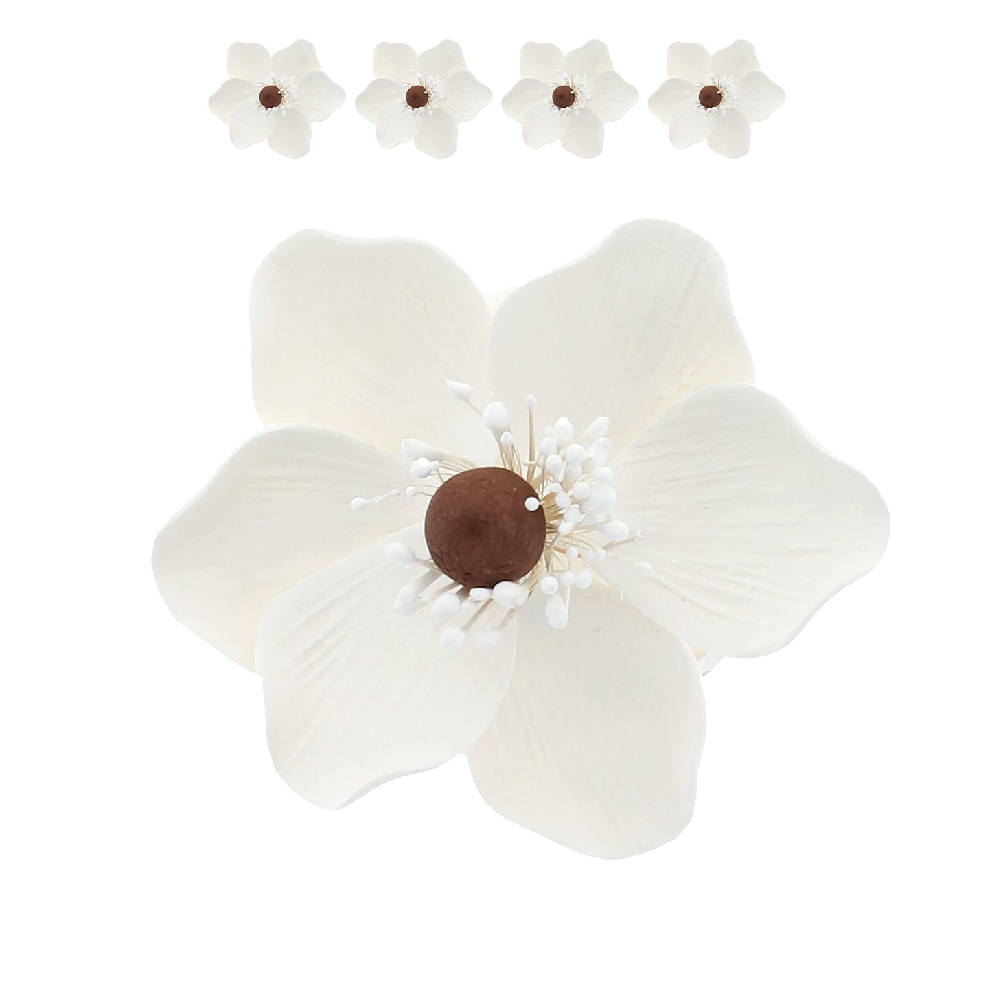 White and Brown Anemone, 4 Count