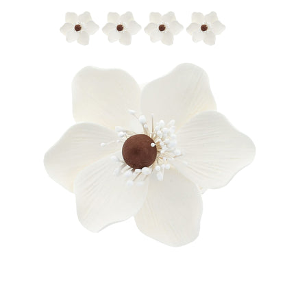 White and Brown Anemone, 4 Count