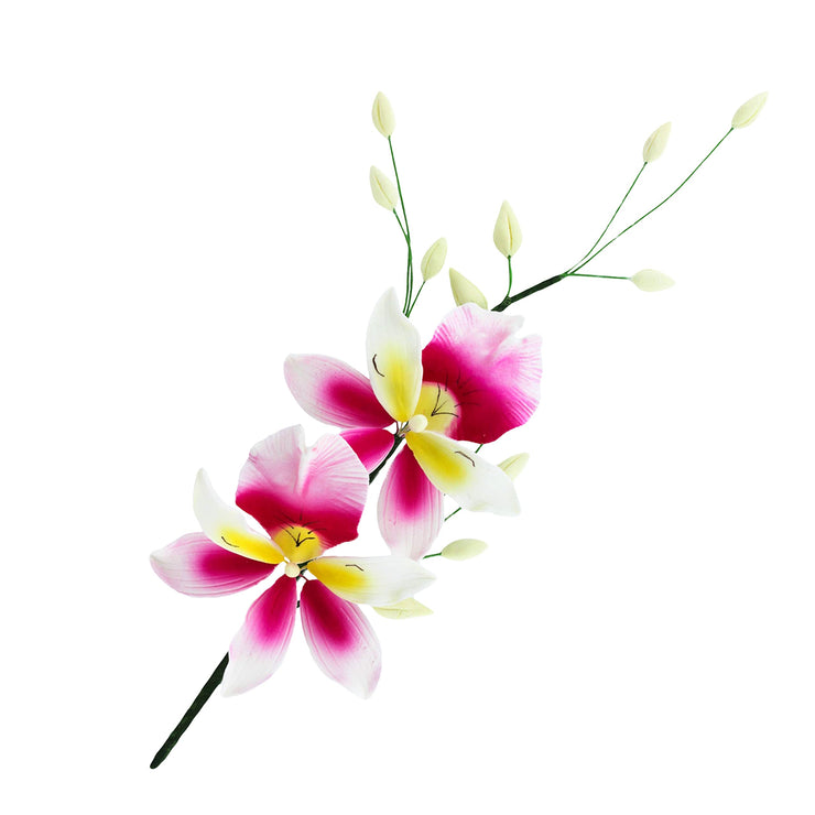 Orchid Sugar Cake Flower Sprays, Deep Pink and Yellow Double Orchid Spray, by Global Sugar Art