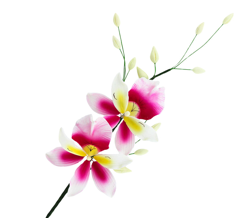 Orchid Sugar Cake Flower Sprays, Deep Pink and Yellow Double Orchid Spray, by Global Sugar Art