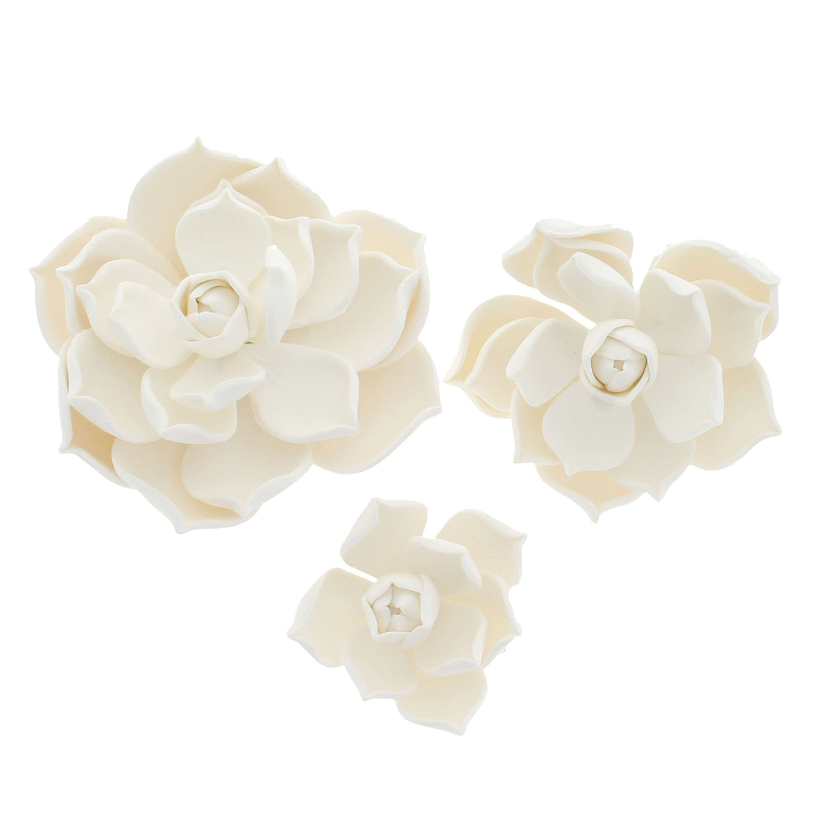 Global Sugar Art Succulent Parva Sugar Cake Flowers, White Assortment, 3 Count by Chef Alan Tetreault