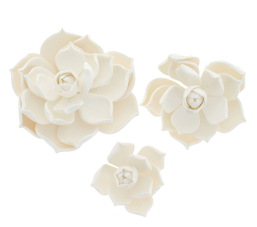 Global Sugar Art Succulent Parva Sugar Cake Flowers, White Assortment, 3 Count by Chef Alan Tetreault