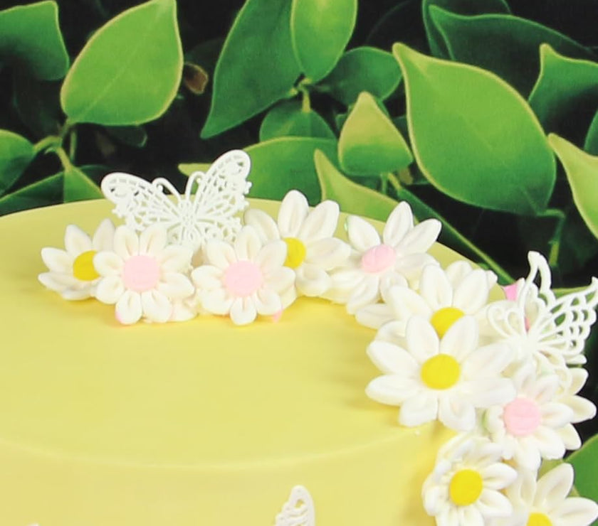 Edible Daisy Cake Decorations, White and Pink Sugar Flowers, Unwired 3/4 Inch, Daisy Cupcake Toppers, Edible Flowers Cake Decorations by Chef Alan Tetreault, Global Sugar Art
