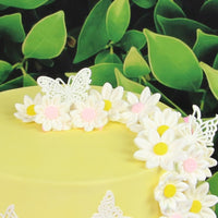 Edible Daisy Cake Decorations, White and Pink Sugar Flowers, Unwired 3/4 Inch, Daisy Cupcake Toppers, Edible Flowers Cake Decorations by Chef Alan Tetreault, Global Sugar Art