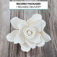 Gardenia Sugar Cake Flowers, Jumbo, White, 1 Count by Global Sugar Art