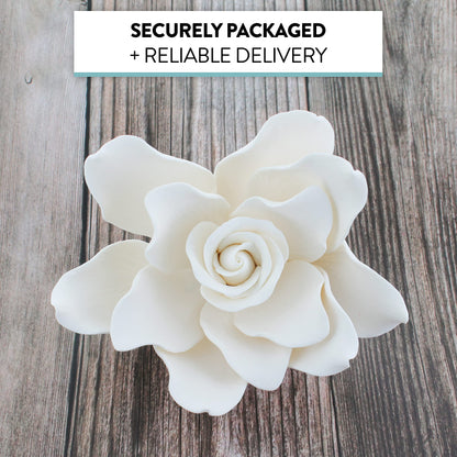 White Gardenia, Jumbo Bloom