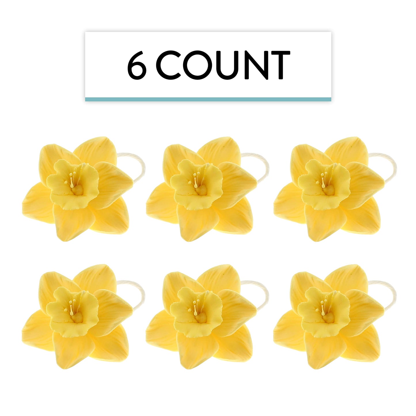 Yellow Daffodil, 6 Count
