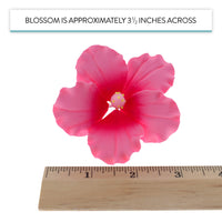 Hibiscus Sugar Cake Flowers, Pink Tropical Sugar Flowers, by Global Sugar Art