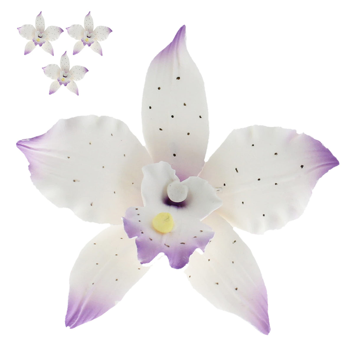 Orchid Sugar Cake Flowers, Brassavola Style Orchids, by Global Sugar Art, 3 Count, Purple