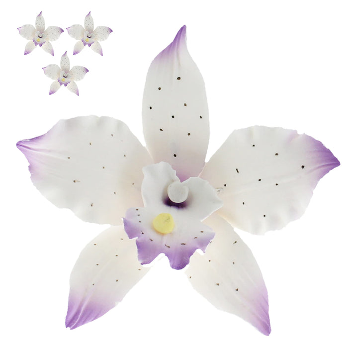 Orchid Sugar Cake Flowers, Brassavola Style Orchids, by Global Sugar Art, 3 Count, Purple