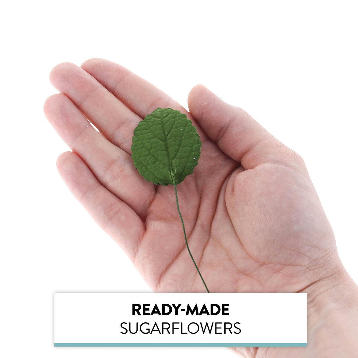 Hydrangea Leaves, Gum Paste Cake Decorations by Global Sugar Art, Green, Multiple Sizes