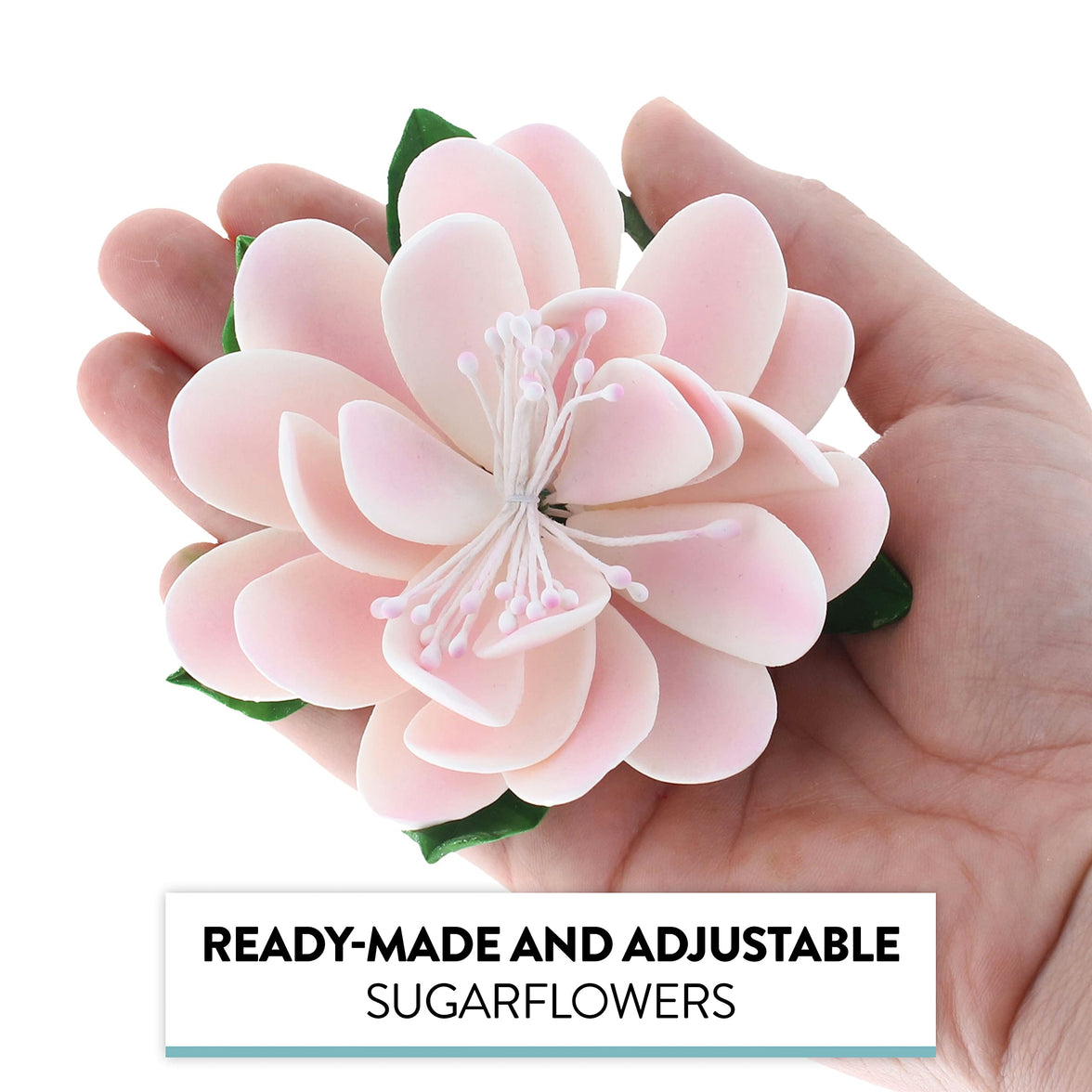 Protea Sugar Cake Flowers by Global Sugar Art, Medium Pink. 3 Count