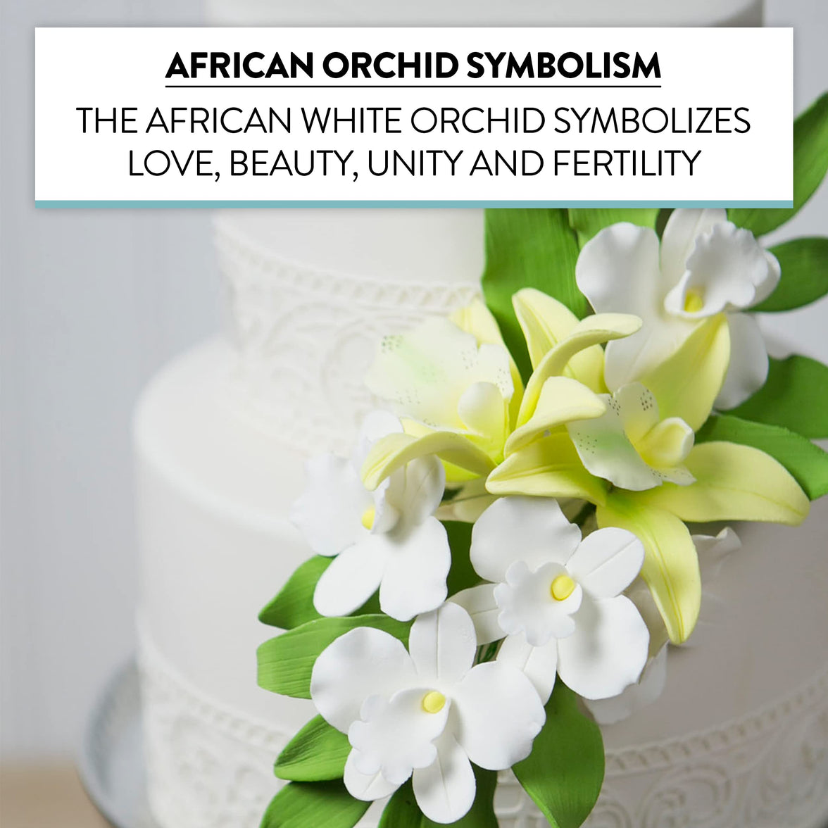 Orchid Sugar Cake Flowers, African Orchids, by Global Sugar Art, White, 6 Count