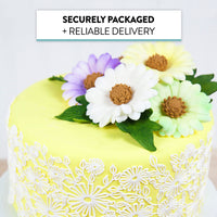 Global Sugar Art Summer Gerbera Daisy Sugar Cake Flowers Mixed Colors, 9 Count by Chef Alan Tetreault