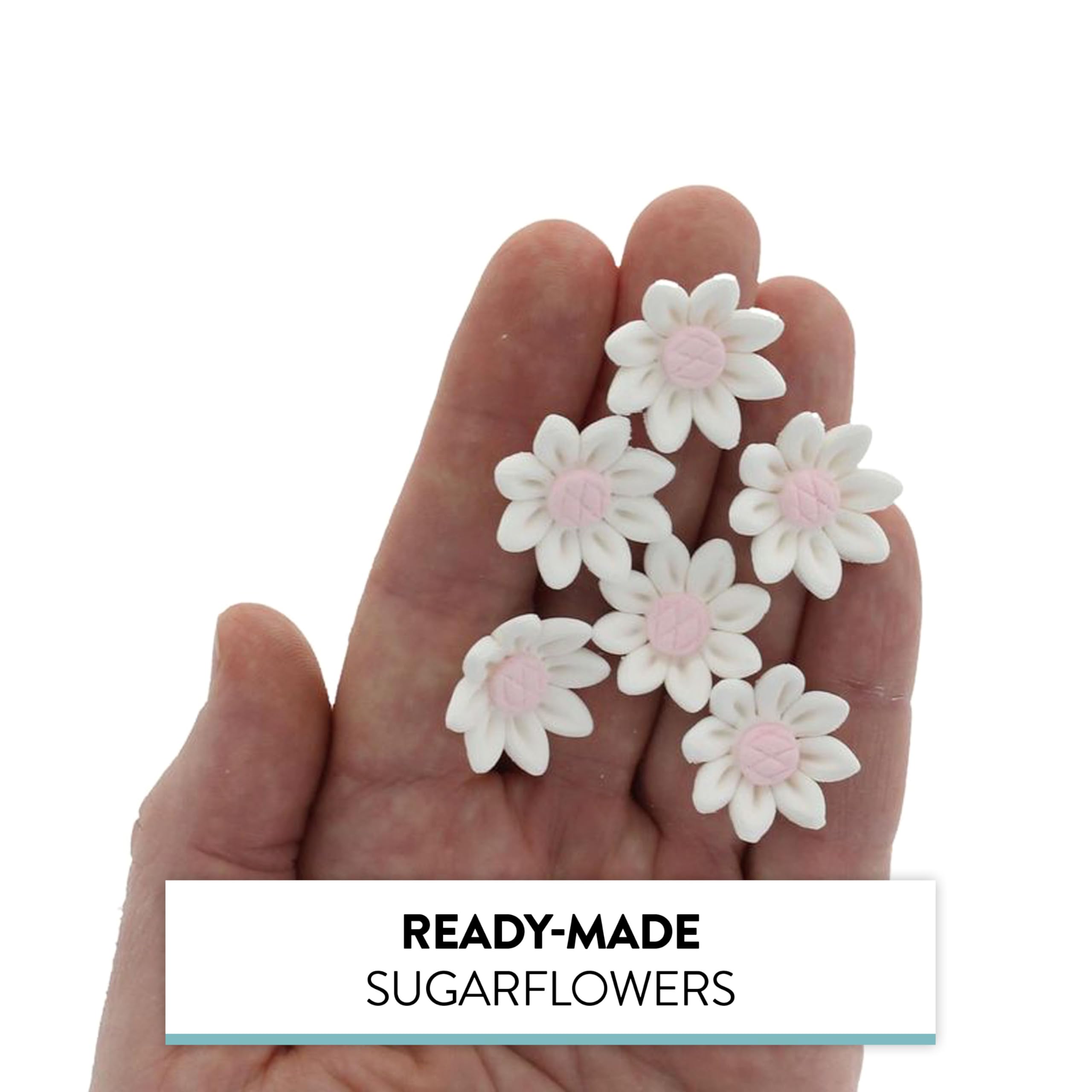 Edible Daisy Cake Decorations, White and Pink Sugar Flowers, Unwired 3/4 Inch, Daisy Cupcake Toppers, Edible Flowers Cake Decorations by Chef Alan Tetreault, Global Sugar Art
