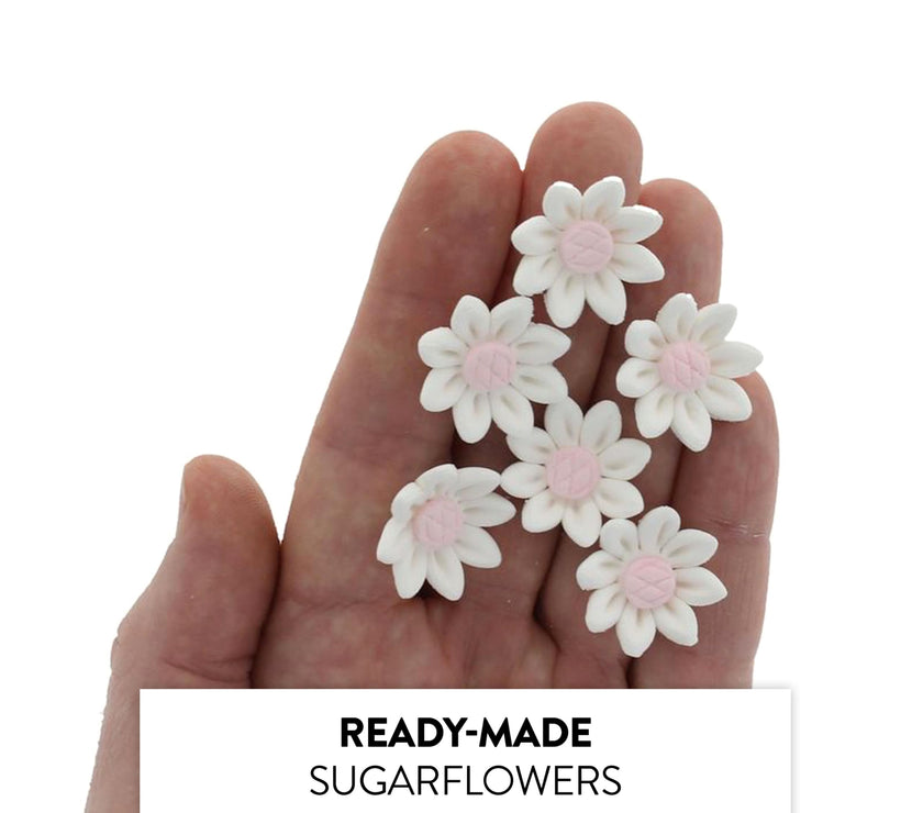 Edible Daisy Cake Decorations, White and Pink Sugar Flowers, Unwired 3/4 Inch, Daisy Cupcake Toppers, Edible Flowers Cake Decorations by Chef Alan Tetreault, Global Sugar Art