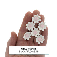 Edible Daisy Cake Decorations, White and Pink Sugar Flowers, Unwired 3/4 Inch, Daisy Cupcake Toppers, Edible Flowers Cake Decorations by Chef Alan Tetreault, Global Sugar Art