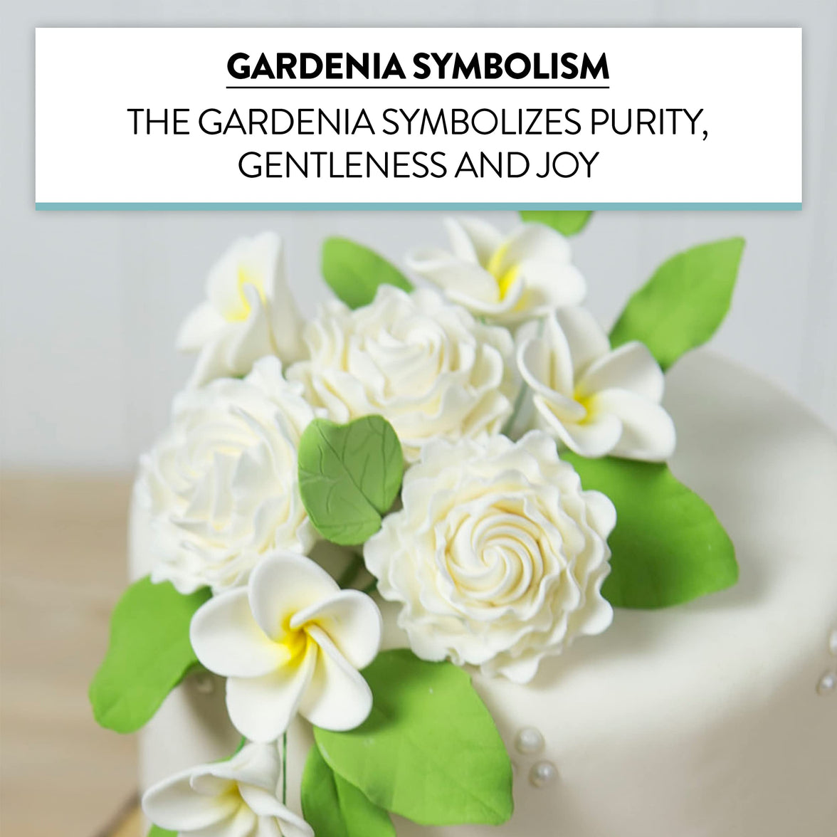 Gardenia Sugar Cake Flowers, White, 8 Count by Global Sugar Art