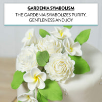 Gardenia Sugar Cake Flowers, White, 8 Count by Global Sugar Art