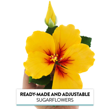 Yellow Tropical Hibiscus with Leaves