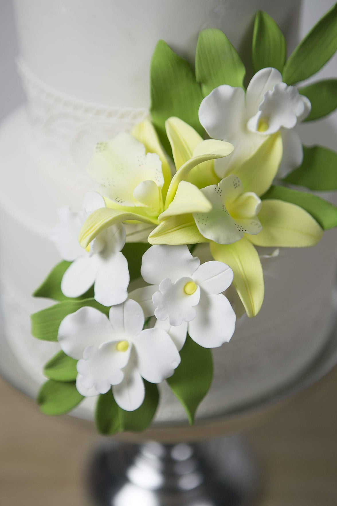 Orchid Sugar Cake Flowers, African Orchids, by Global Sugar Art, White, 6 Count