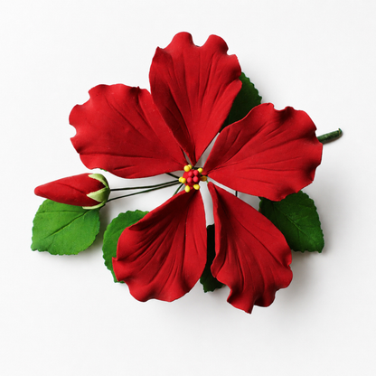Red Tropical Hibiscus with Leaves