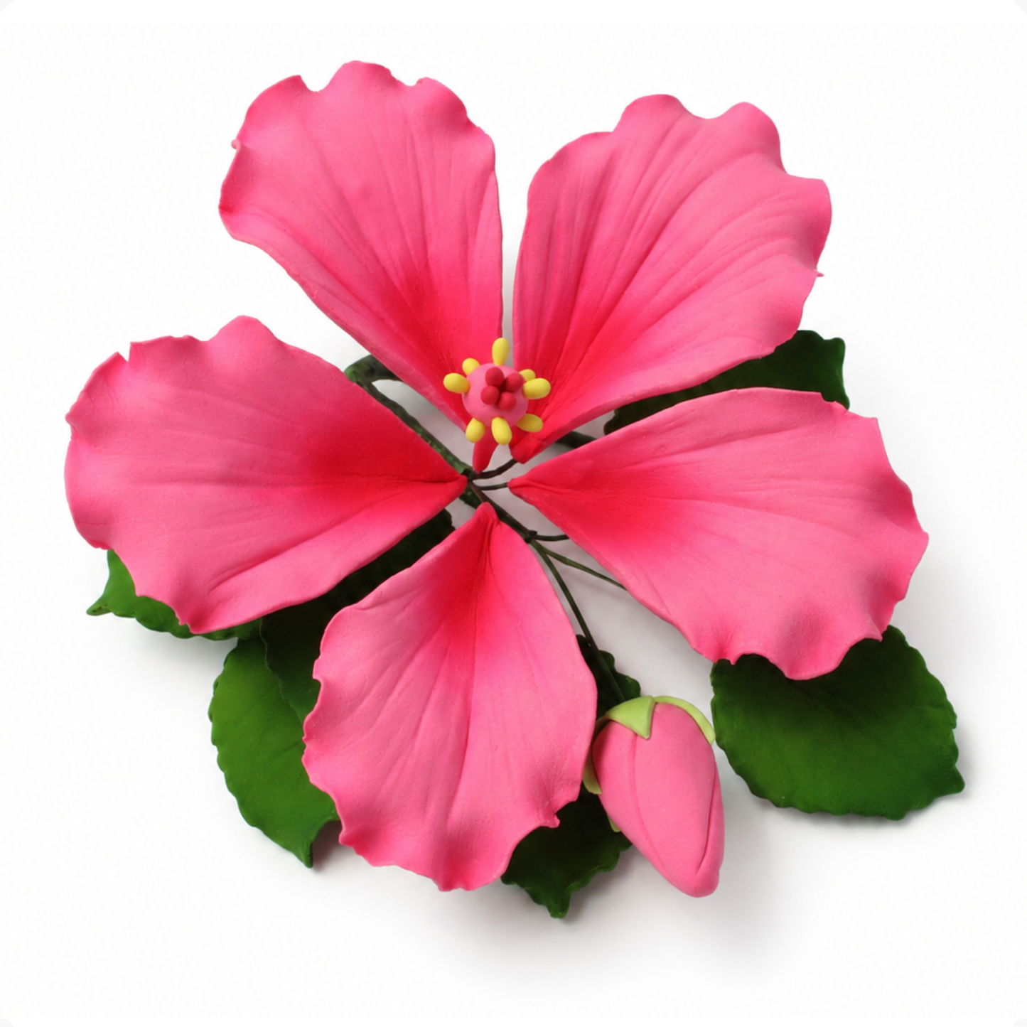 Pink Tropical Hibiscus with Leaves