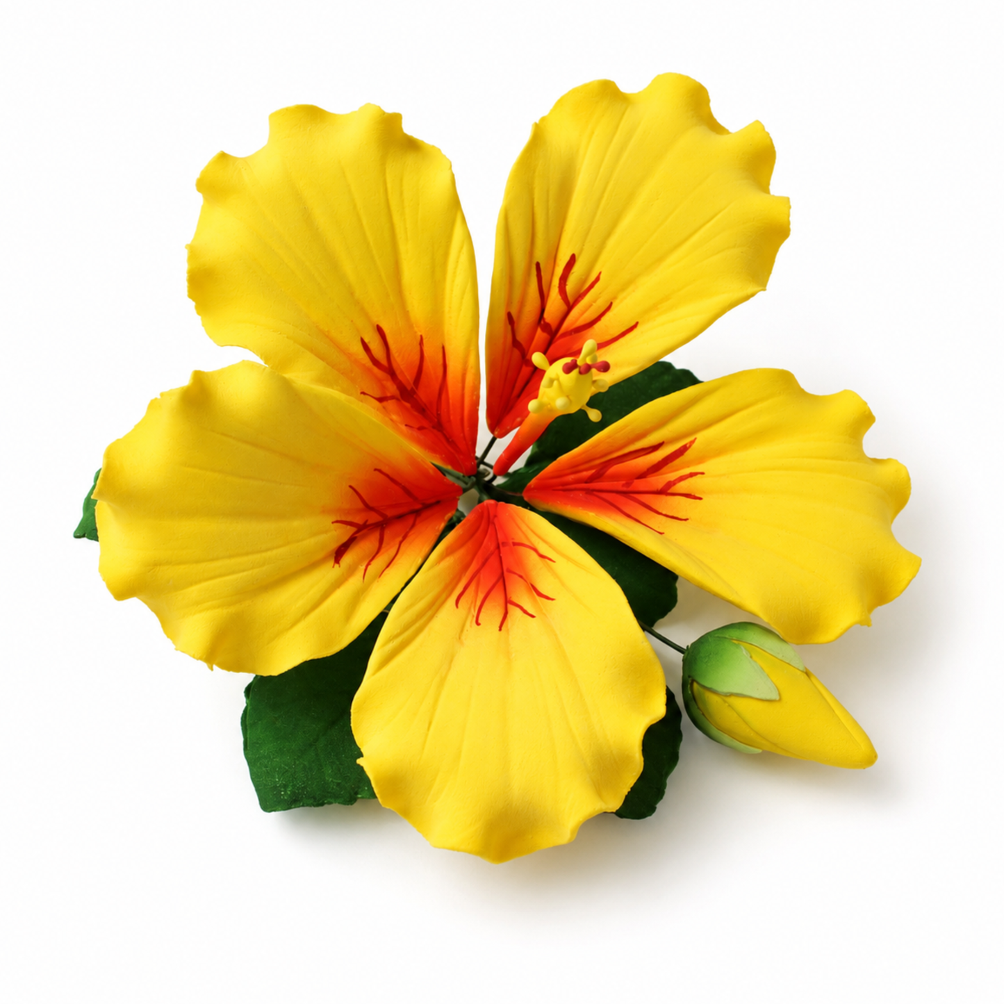 Yellow Tropical Hibiscus with Leaves