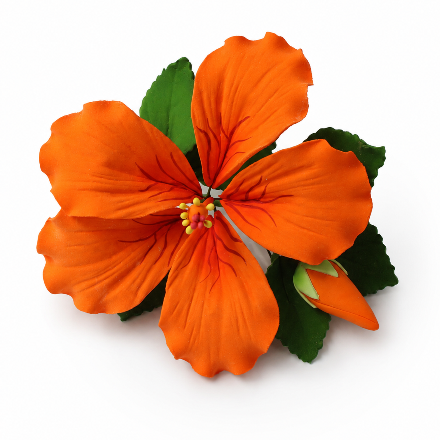 Orange Tropical Hibiscus with Leaves