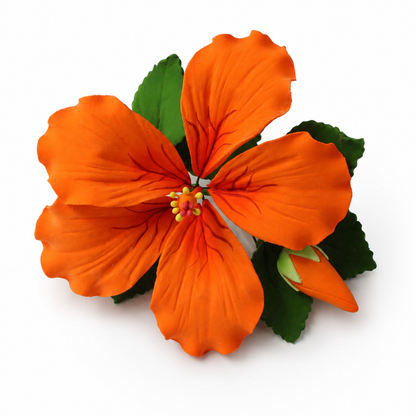 Orange Tropical Hibiscus with Leaves