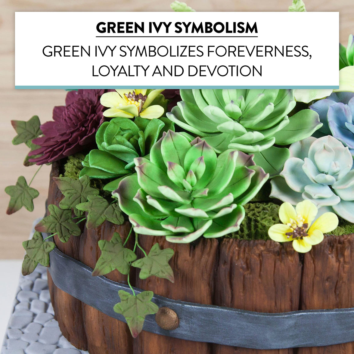 Ivy Leaf  Spray  Cake Decoration by Chef Alan Tetreault, Global Sugar Art, 5 Count