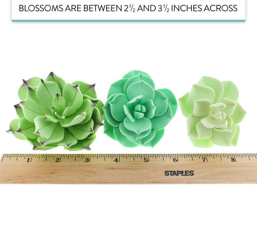Global Sugar Art Succulents Sugar Cake Flowers, Garden Variety, by Chef Alan Tetreault