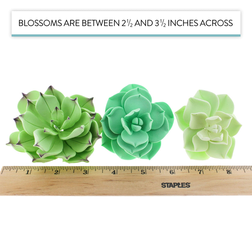 Global Sugar Art Succulents Sugar Cake Flowers, Garden Variety, by Chef Alan Tetreault