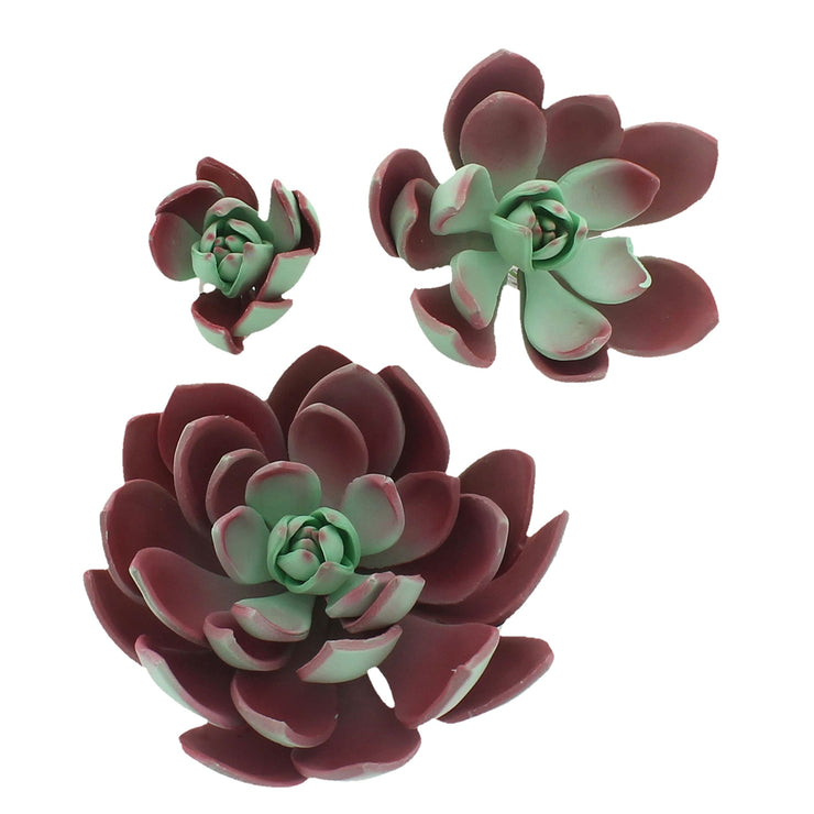 Global Sugar Art Succulent Romeo Sugar Cake Flowers Assortment with Wire, 3 Count by Chef Alan Tetreault