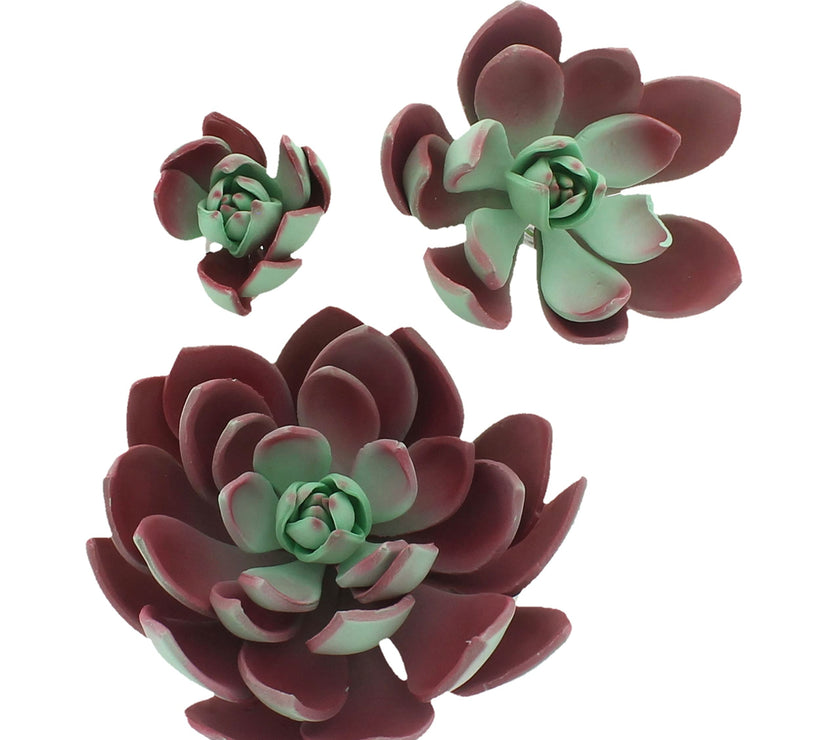 Global Sugar Art Succulent Romeo Sugar Cake Flowers Assortment with Wire, 3 Count by Chef Alan Tetreault